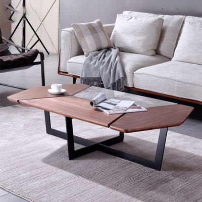 अच्छी कीमत Minimalist Style Luxury Center Tables Retro Unique Shape Two Tone Color Palette ऑनलाइन