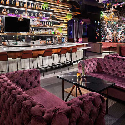 अच्छा दाम Velvet Purple Club Lounge Sofa Classic Button Tufting Bistro Sofa ऑनलाइन